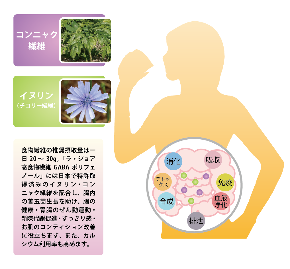 食物繊維のメリット