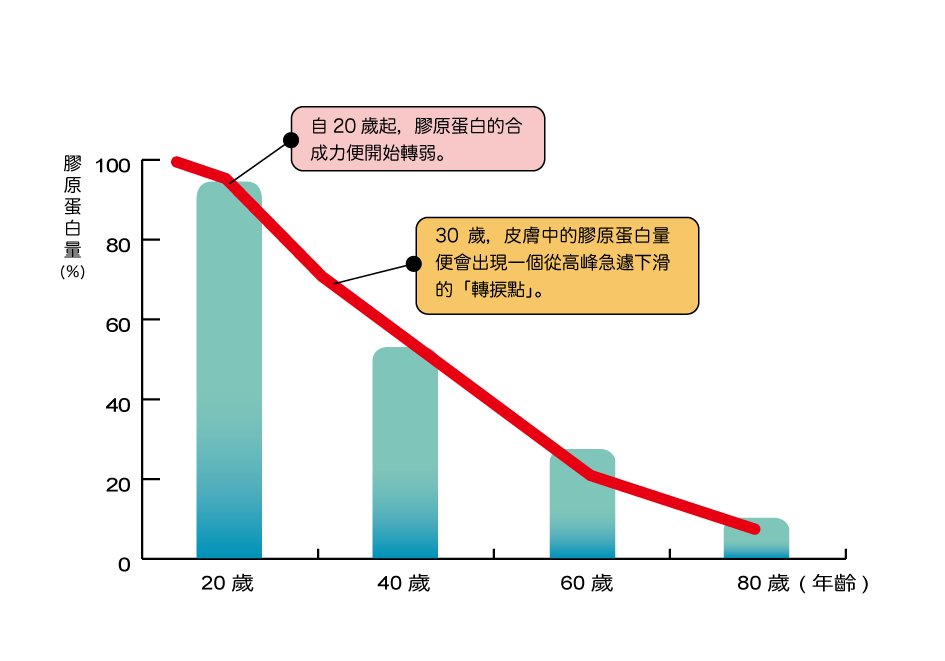 人體內膠原蛋白含量變化與年齡的關係
